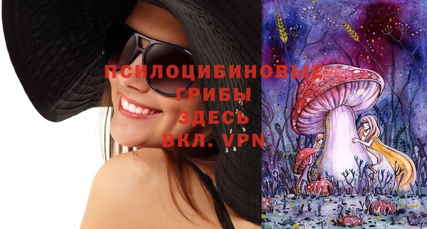 прущие грибы Касимов