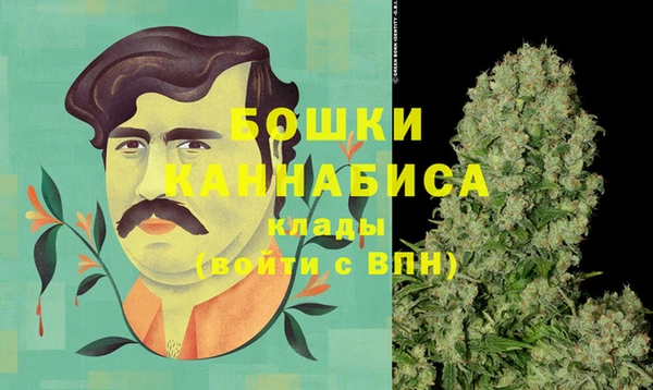прущие грибы Касимов