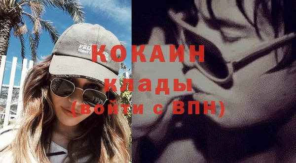 прущие грибы Касимов