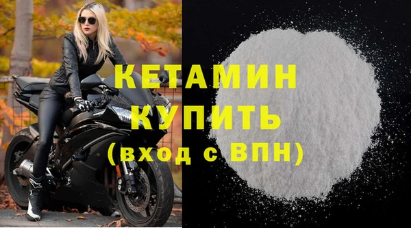 прущие грибы Касимов