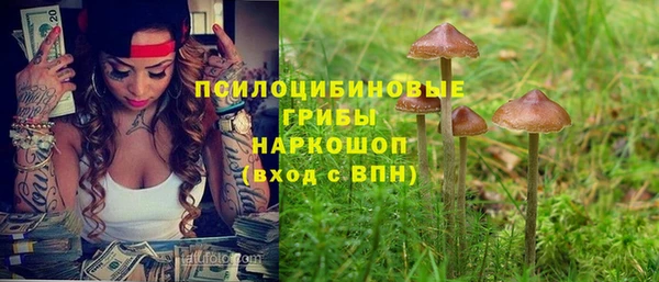 прущие грибы Касимов