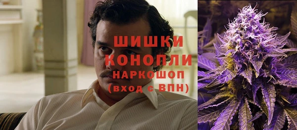 прущие грибы Касимов