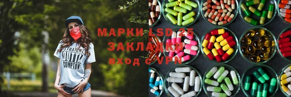 прущие грибы Касимов
