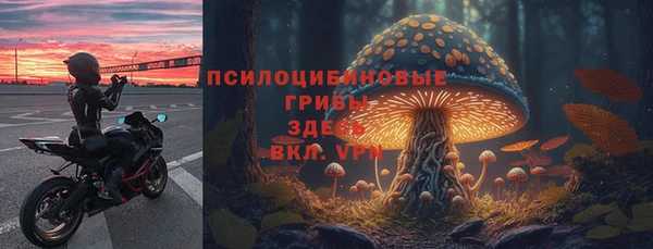марки lsd Карталы