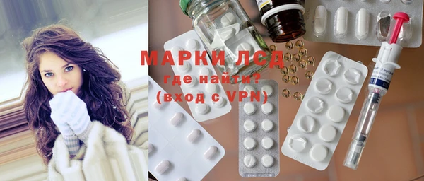 прущие грибы Касимов